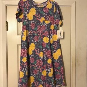 LulaRoe Dress